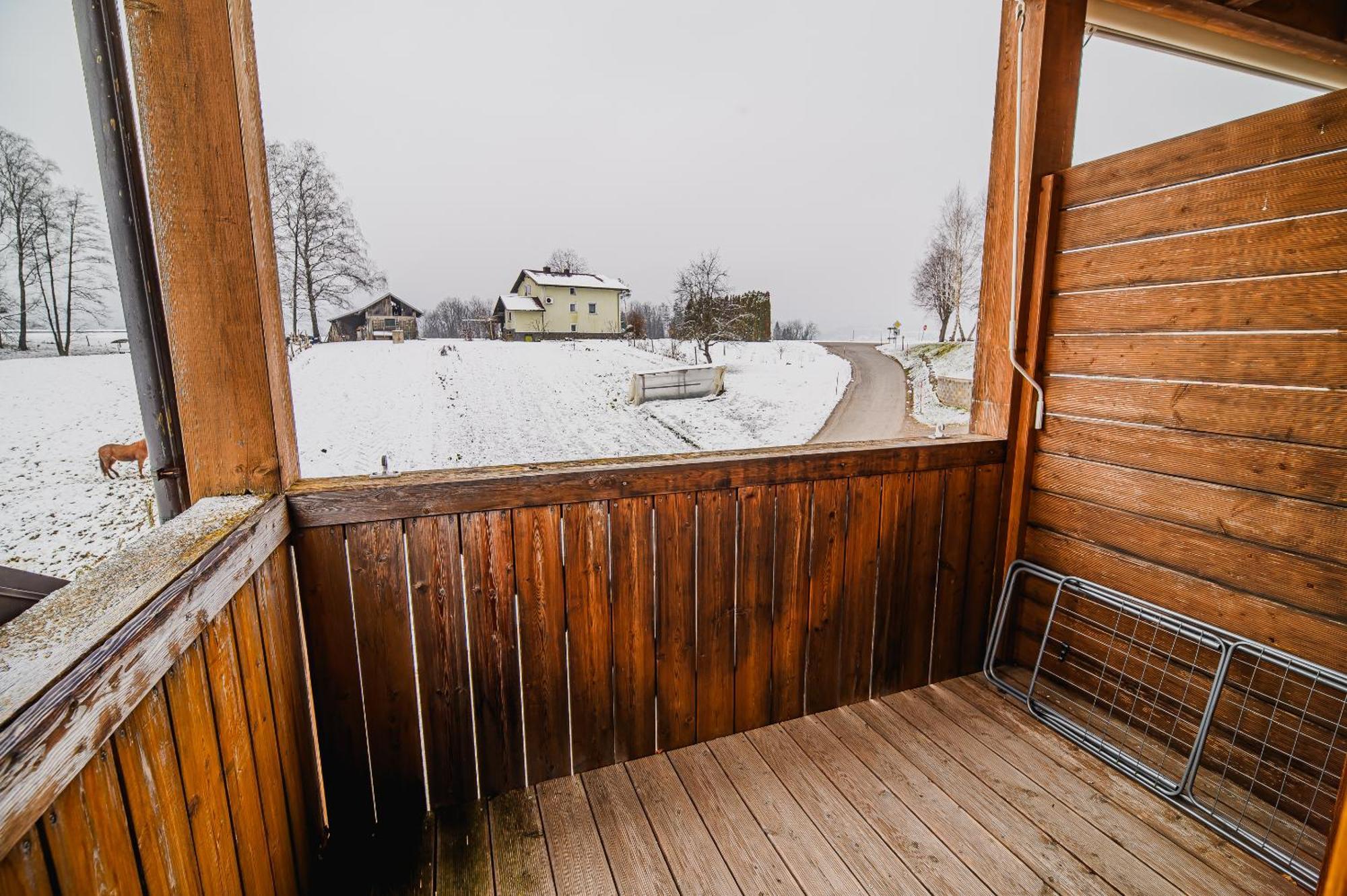 Apartments Maleric With Indoor Pool And Wellness Dragatuš Rum bild